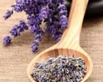 Laventelin hyödyt ja haitat sekä sen käyttö Onko mahdollista käyttää laventelia teessä